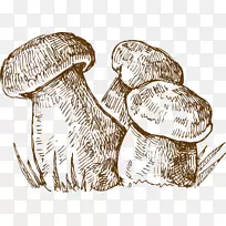 早餐包子马拉唐食物吃手绘素描蘑菇