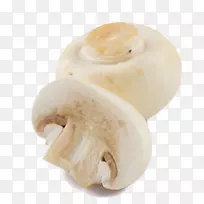 龙泉蘑菇香菇蔬菜-两种鲜蘑菇