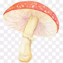蘑菇材料可爱的粉红蘑菇