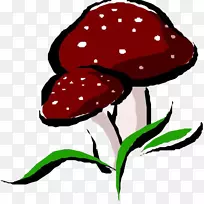 蘑菇真菌香菇手绘卡通蘑菇