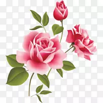 玫瑰粉红色免费内容剪贴画-玫瑰花剪贴画