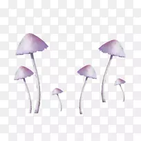 普通蘑菇真菌-紫鲜蘑菇装饰图案