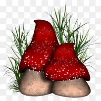 蘑菇剪贴画-大蘑菇五颜六色无扣材料