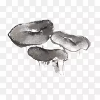 蘑菇素描-手绘蘑菇