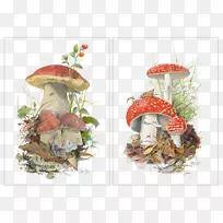 野牛肝菌(boletus edulis koustrup&co.)食用菌海报-创意手绘卡通蘑菇