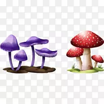 蘑菇节画图-绘蘑菇