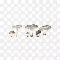 蘑菇火锅伞菌.手绘卡通蘑菇