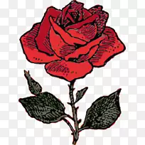 玫瑰免费内容插花艺术-红玫瑰卡通