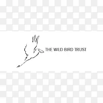 手指标志白线艺术字体-鸟标志图