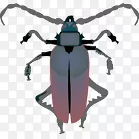 蟑螂下载免费剪贴画昆虫照片