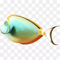 鱼夹艺术-懒鱼