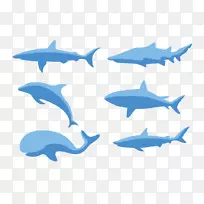 普通宽吻海豚剪贴画-多种鱼类