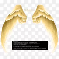 天使剪贴画-天使翅膀PNG