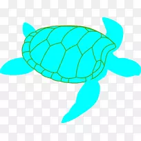 绿海龟皮龟剪贴画-海龟剪贴画