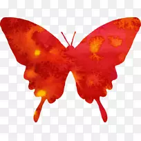 蝴蝶水彩画红色剪贴画-红色蝴蝶剪贴画