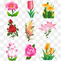 花卉郁金香剪贴画