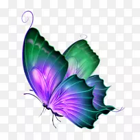 蝴蝶电脑图标剪辑艺术-绿色梦想蝴蝶装饰图案