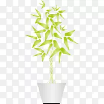 立面竹子图绿色盆栽竹装饰品