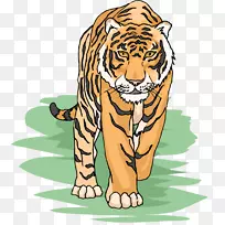 西伯利亚虎孟加拉虎免费内容剪辑艺术-虎栖息地剪贴画