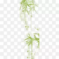 竹子四先生水墨画绿竹装饰