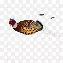 鸟类-计算机图标剪贴画-山鸡剪贴画