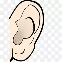 耳解剖听力尖耳夹艺术耳廓噪声剪