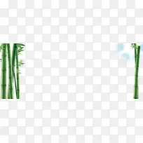 竹能植物茎叶天青竹背景
