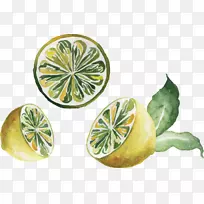 水彩画柠檬手绘插图柠檬
