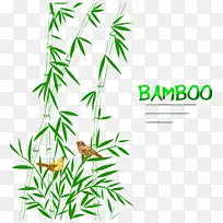 竹鸟画树.竹鸟装饰