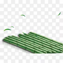 竹子植物-一排绿竹