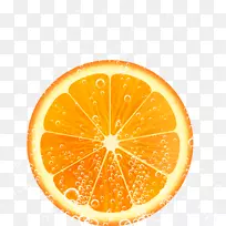 橙汁.柠檬葡萄柚.新鲜柠檬橙果实载体材料
