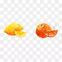 橘子水果奥格里斯食品卡通手绘橙色柠檬橙