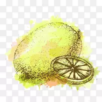 柠檬奥格里斯插图-手绘柠檬