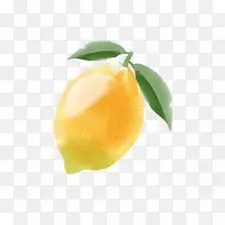 柠檬柑橘朱诺黄色手绘柠檬