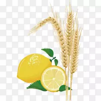 小麦柠檬玉米图片