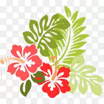 夏威夷插花艺术-夏威夷花画