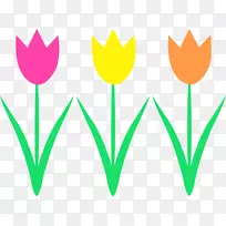 花泉免费内容剪辑艺术-郁金香图像