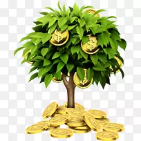 个人退休账户树投资储蓄资金金树