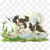 骑士国王查尔斯猎犬英国春季猎犬彭布罗克威尔士犬品种-离开小狗