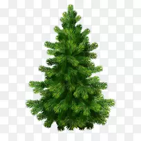 松树剪贴画-圣诞树