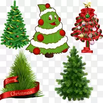 苏格兰人、松树、冷杉、诺福克岛松树-可爱的圣诞树