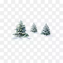 冬季松雪桌面壁纸-圣诞树