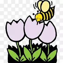 蜜蜂着色书花夹艺术-农场卡通图片