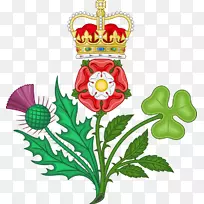 英国皇家徽章，都铎玫瑰宫，都铎白玫瑰，约克-图像徽章