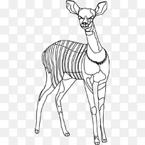 鹿黑白线艺术剪贴画动物线条艺术