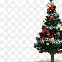 圣诞圣诞树装饰-圣诞树