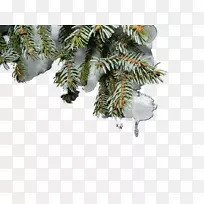 雪圣诞树-悬挂圣诞树雪