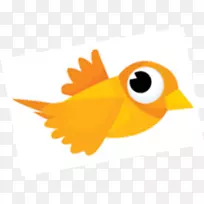 鸟类飞行动画剪辑艺术-飞鸟动画