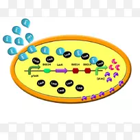 细菌国际基因工程机器裂解酶剪贴画-大肠杆菌卡通
