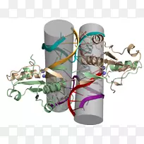 国际基因工程机器。大肠杆菌噬菌体夹艺术-大肠杆菌卡通